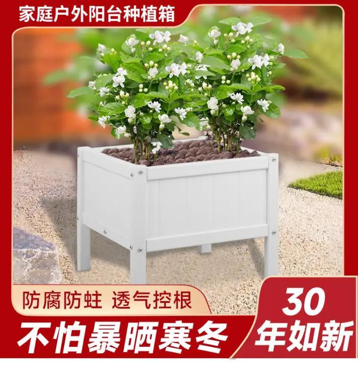 生命树开播种植的最佳时间是什么时候？