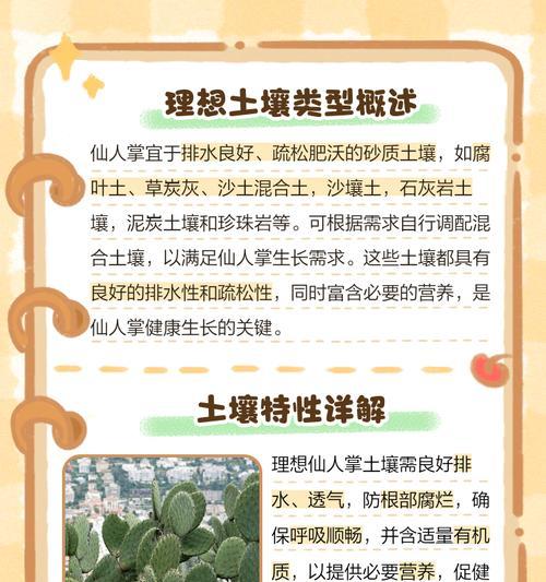 小仙人掌栽培的技术要点是什么？