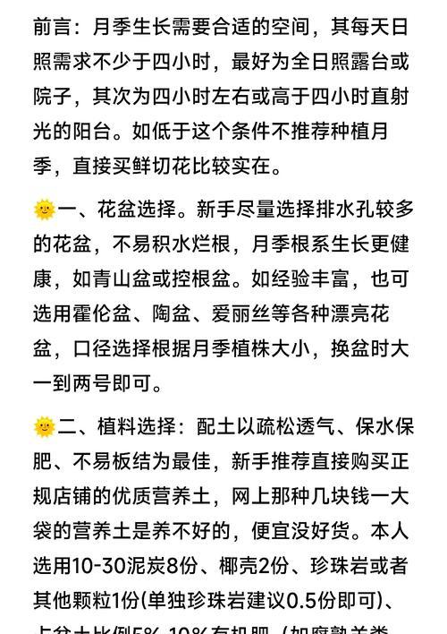 整棵月季盆栽养护指南？如何正确养护？
