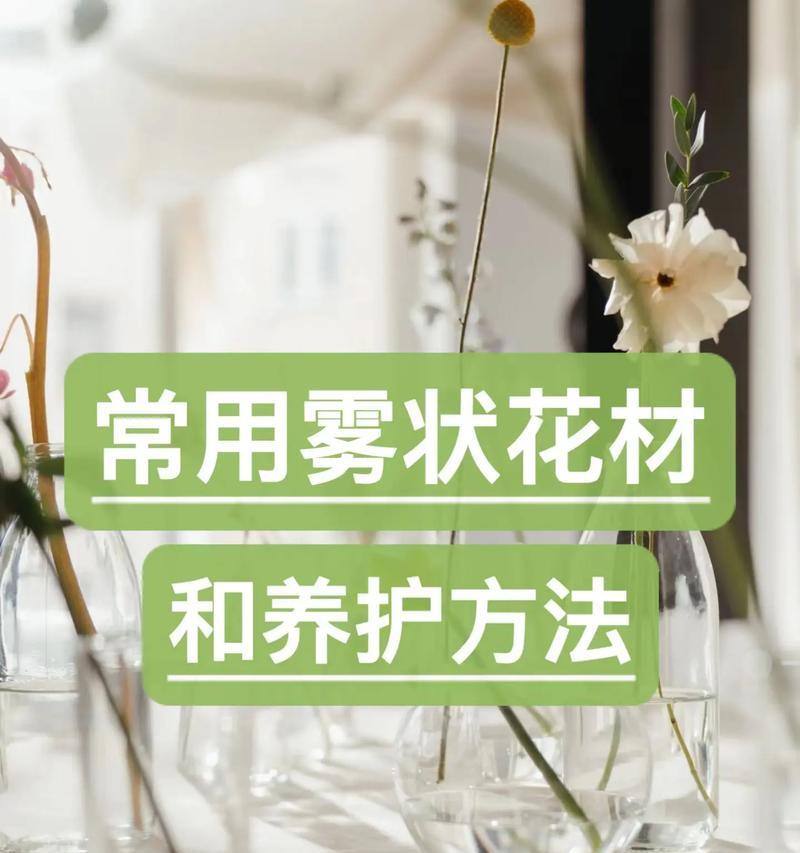 月季朱砂丸的特性及养护方法是什么？