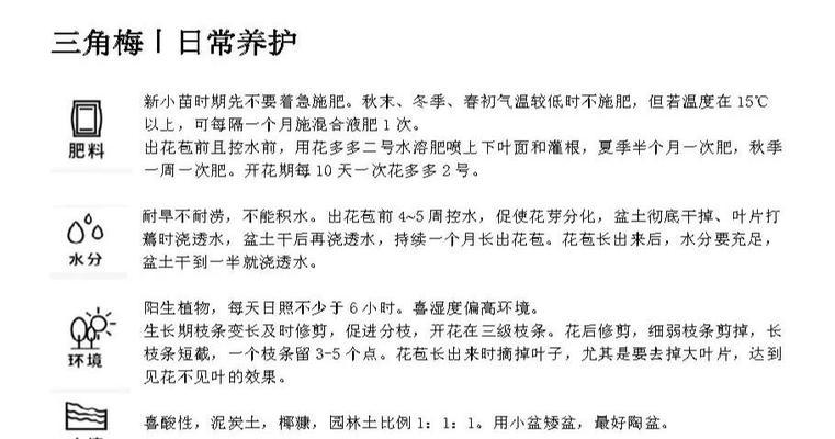 六月养护三角梅的正确方法有哪些？