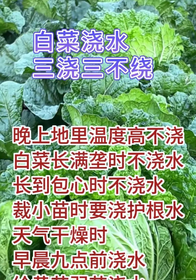 给地里浇水有哪些高效的方法？