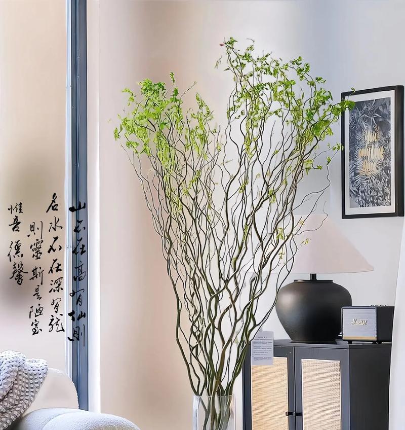 小型观赏植物鱼盆景有哪些？适合水培的植物种类有哪些？