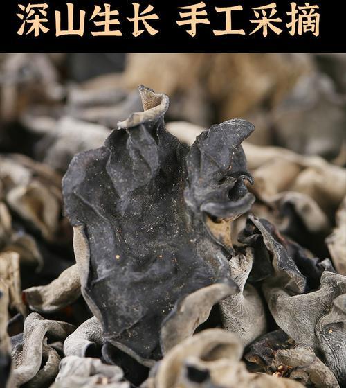 橘子无根栽培技术要点是什么？如何成功进行无根栽培？