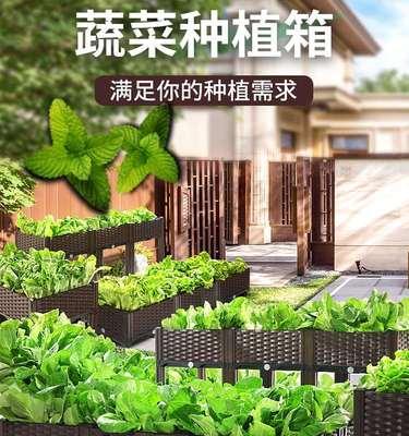 香宝的栽培技术有哪些？如何提高香宝的生长质量和产量？