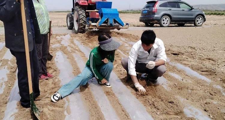 播种完成后应该采取哪些后续措施？