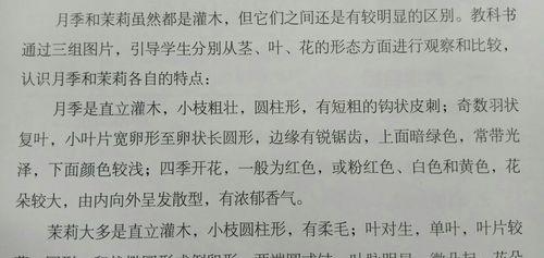 茉莉嫁接月季的方法和注意事项有哪些？