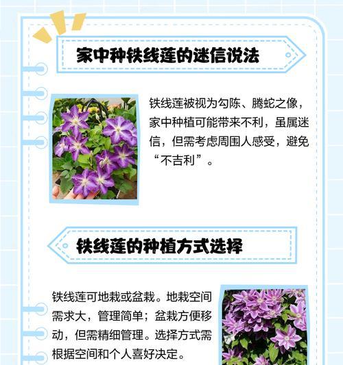 如何选择适合铁线莲苗的盆栽种植方法？