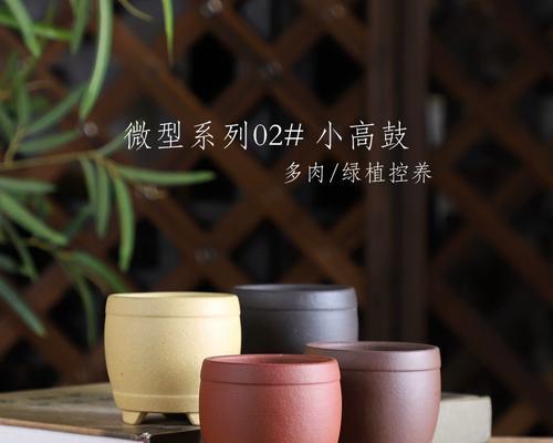 小高方盆景花盆怎么种？种植技巧和注意事项是什么？