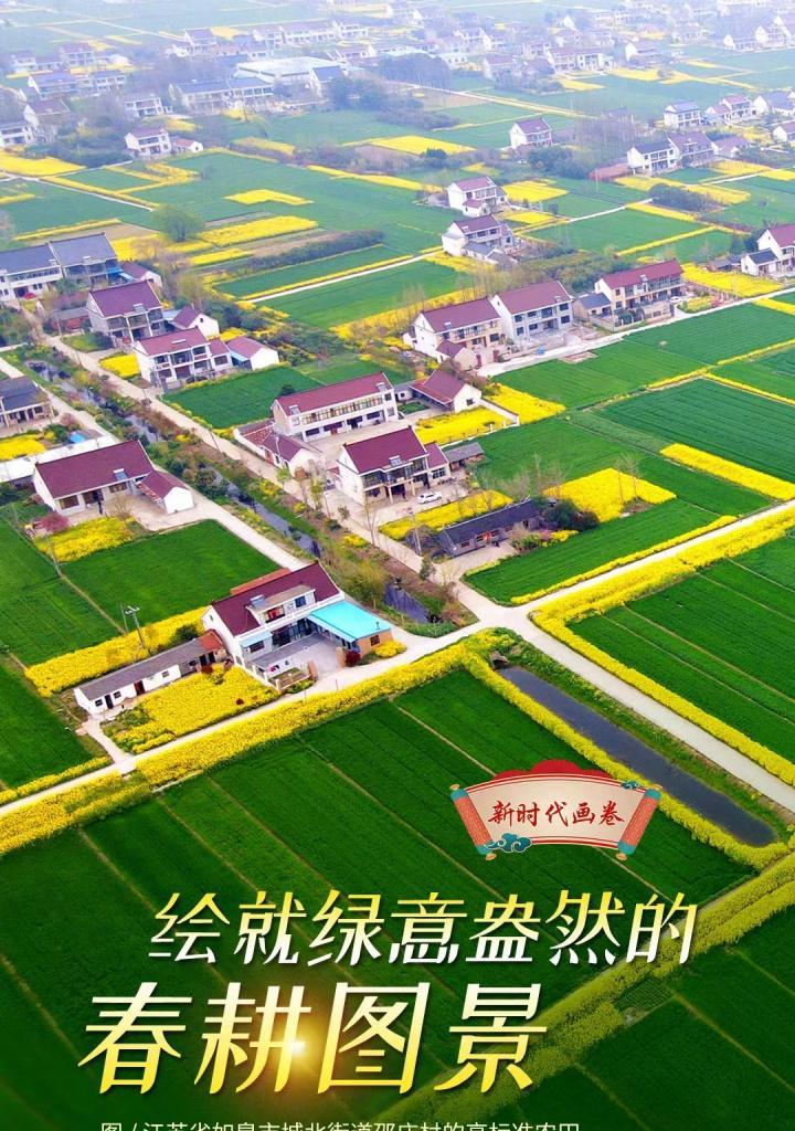 白鹭的栽培技术有哪些？操作步骤是什么？