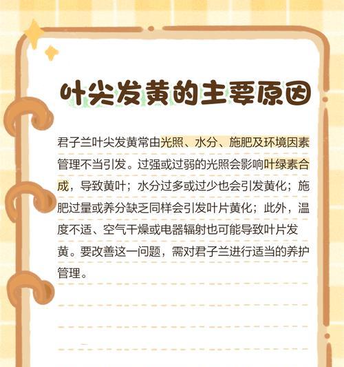 墨兰缺酸叶子发黄怎么办？如何调整土壤酸碱度？