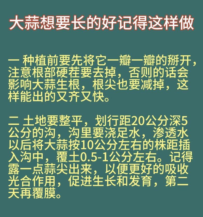 蒜的栽培技术和管理方法是什么？