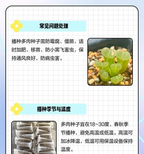 播种子一天中什么时间段最好？选择最佳时间播种的技巧是什么？