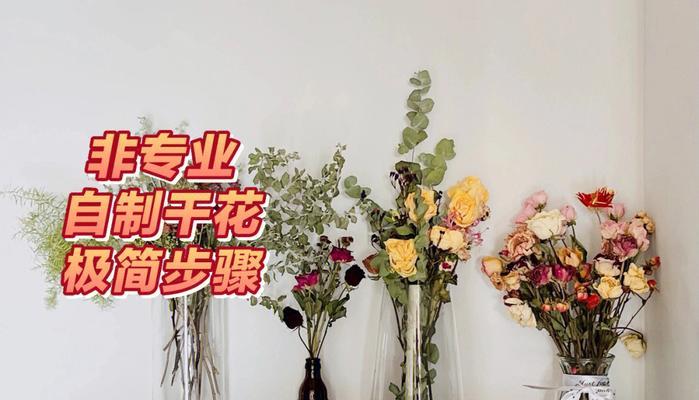 室内多层栽培技术要点是什么？需要满足哪些条件？