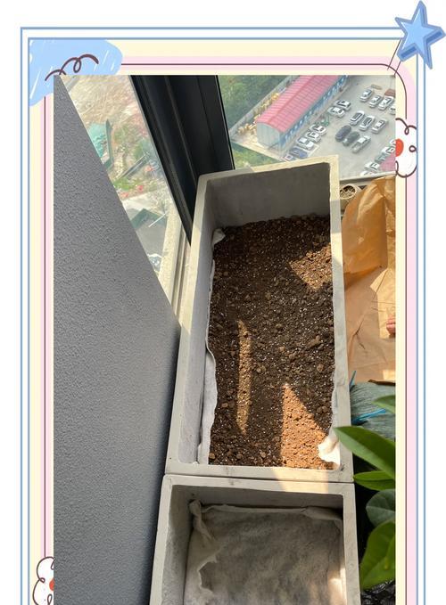 毛根冬青叶子发黄怎么办？如何解决毛根冬青叶子发黄的问题？