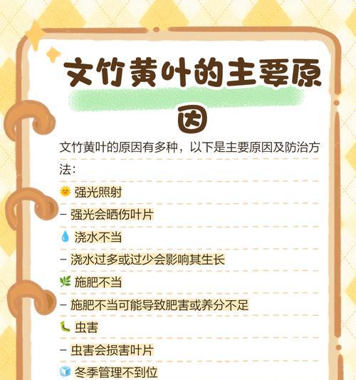 矢竹叶子发黄的处理方法是什么？