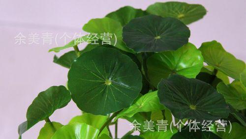 铁管制作荷叶盆景的方法是什么？