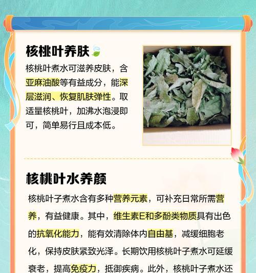 核桃树叶子发黄如何进行补救？