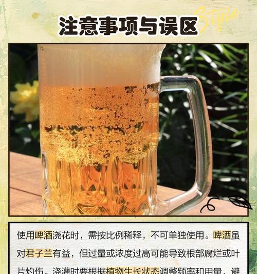 君子兰水溶肥的正确使用方法是什么？