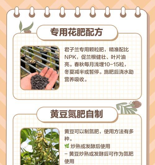 君子兰水溶肥的正确使用方法是什么？