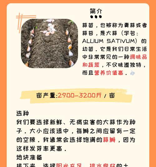 宽叶大蒜播种的最佳时间是什么时候？