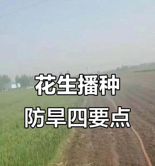 播种时需要注意哪些要点？