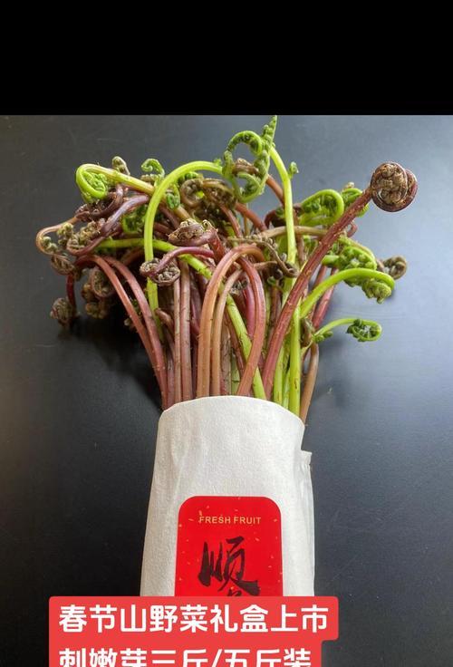 敇嫩芽盆景的养护技巧和常见问题是什么？