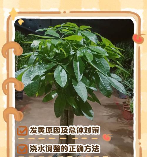 林檎树叶子发黄的可能原因及处理方法？
