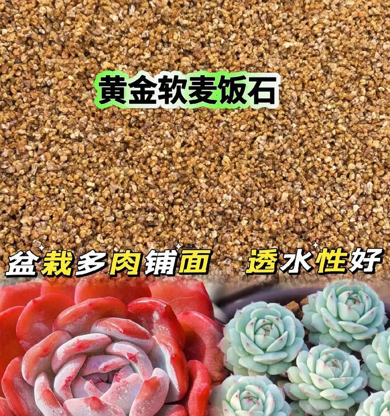 盆景中麦饭石的使用方法是什么？麦饭石对盆景有何益处？