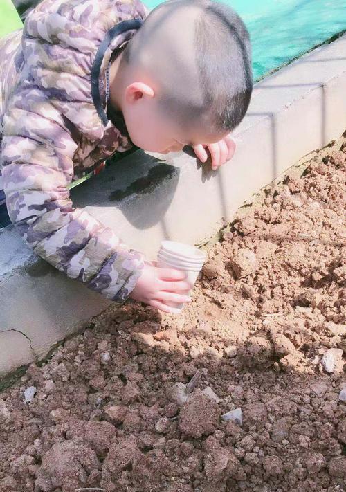 玉米种子浇水的正确方法是什么？