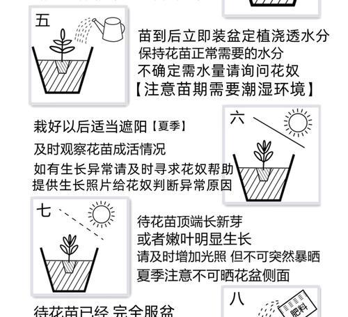 为什么有些草不需要播种也能生长？