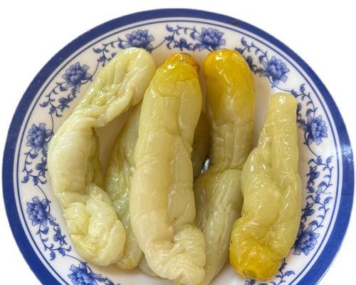 广西梅菜栽培的主要技术要点是什么？