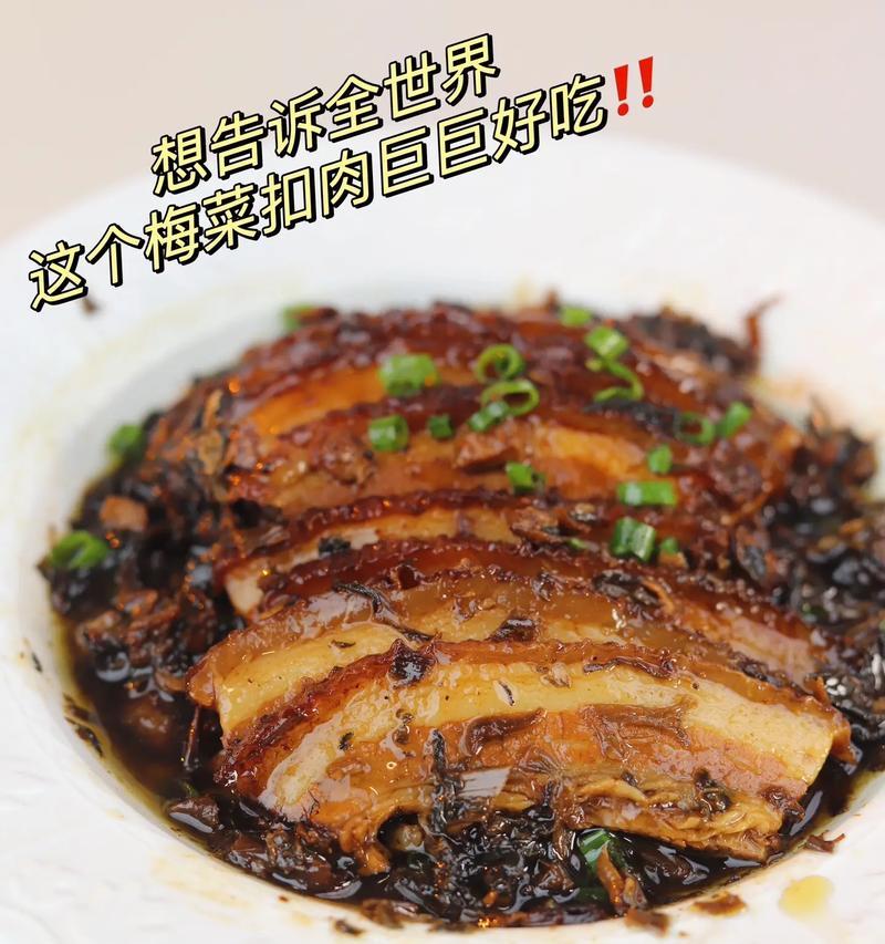 广西梅菜栽培的主要技术要点是什么？