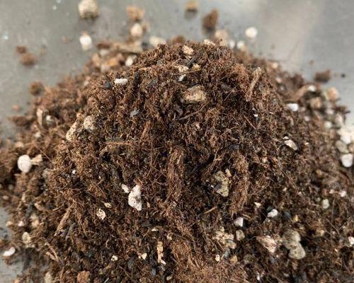 大红袍土壤适合养铁线莲吗？