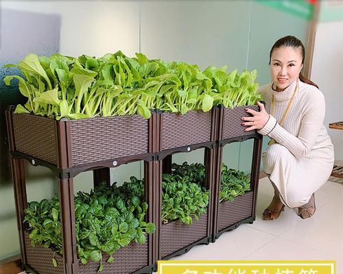 聚水潭等待播种的含义是什么？