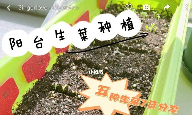 播种时覆盖塑料薄膜的目的是什么？