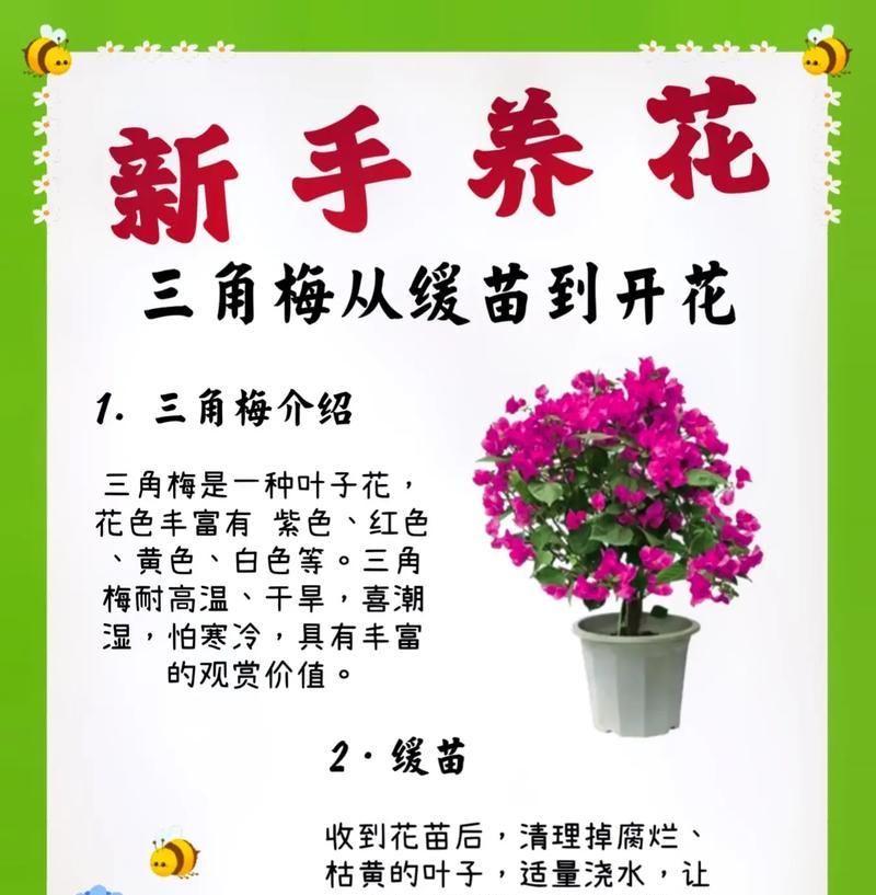 三角梅配土方法？如何正确配制土壤？