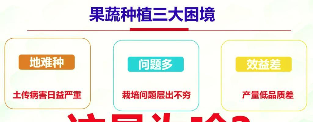 芸豆栽培的关键技术要点是什么？
