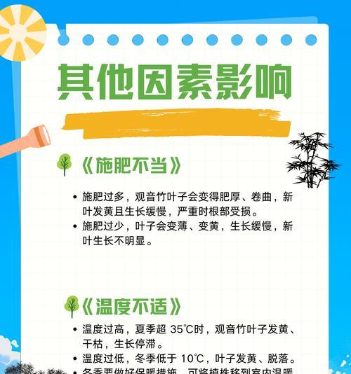 盘景浇水过多导致叶子发黄怎么办？