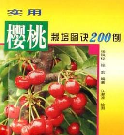 樱桃经济林栽培技术包括哪些要点？