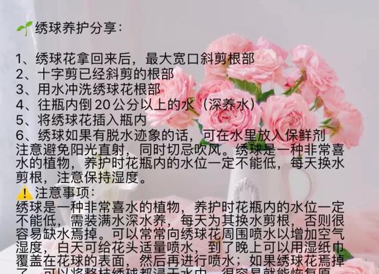 月季花垂钓的正确养护方法是什么？