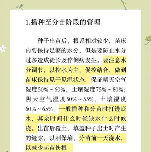 鸡蛋茄的播种阶段是什么？有哪些注意事项？