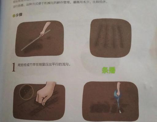 播种有哪些不同的方式？