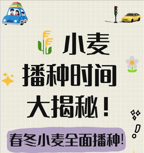 播种有哪些不同的方式？