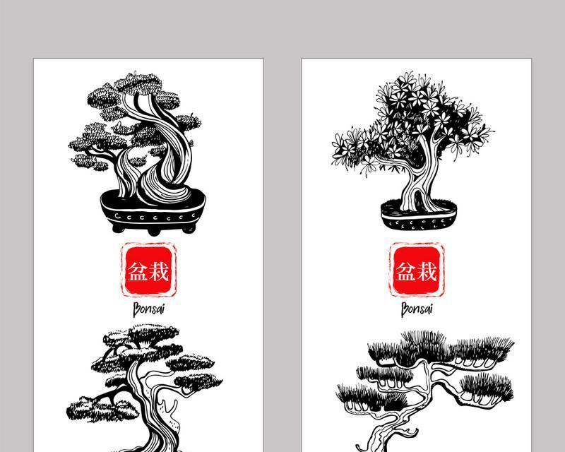 桌面盆景大托盘安装方法是什么？安装步骤详细说明？