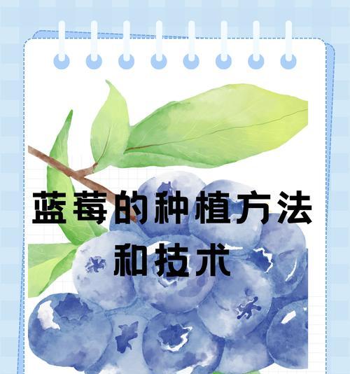 蓝莓栽培需要注意哪些技术要点？