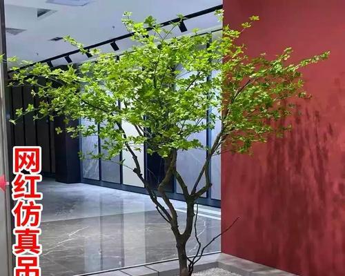 银海藻树叶子发黄的原因是什么？如何解决银海藻树叶子发黄问题？