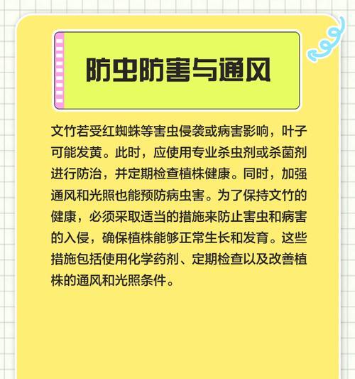 文竹叶子发黄如何救活？有哪些可行的处理措施？