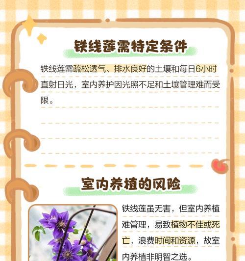 冬季铁线莲水不干的解决方法是什么？