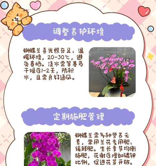 蝴蝶兰花与天竺葵的养殖方法是什么？